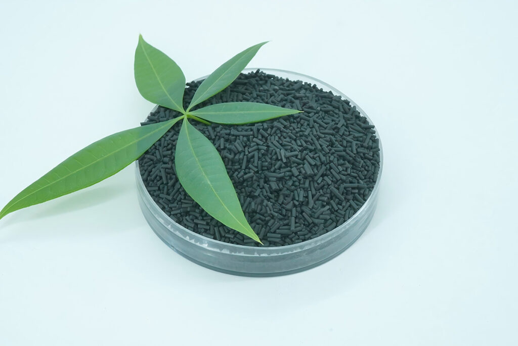 carbon molecular sieves DSC00008