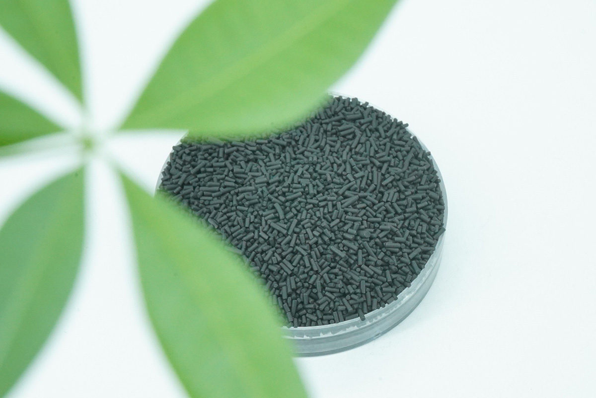 carbon molecular sieves DSC00018