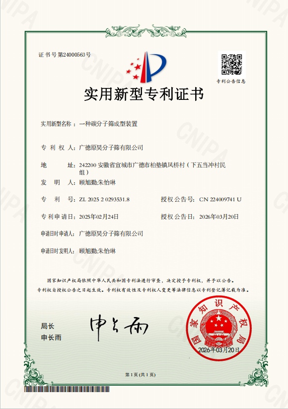 Patent-Certificate13